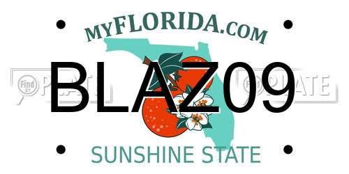BLAZ09 Florida License Plate