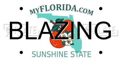 BLAZING Florida License Plate