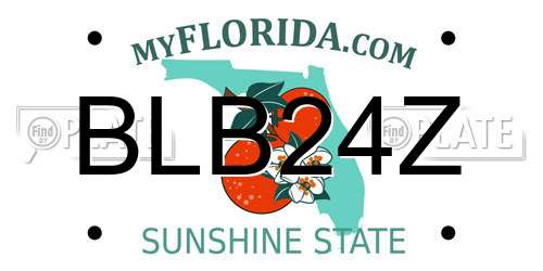 BLB24Z Florida License Plate