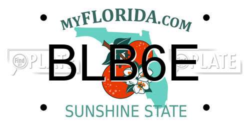 BLB6E Florida License Plate
