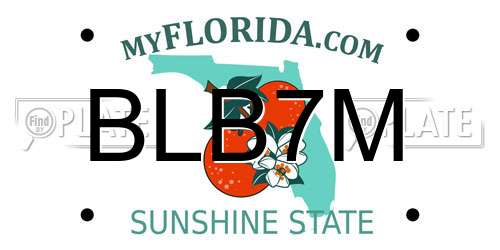 BLB7M Florida License Plate