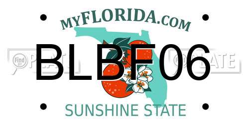 BLBF06 Florida License Plate