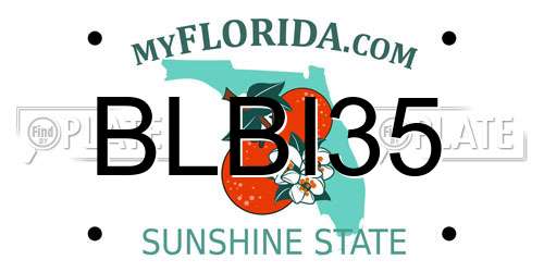 BLBI35 Florida License Plate