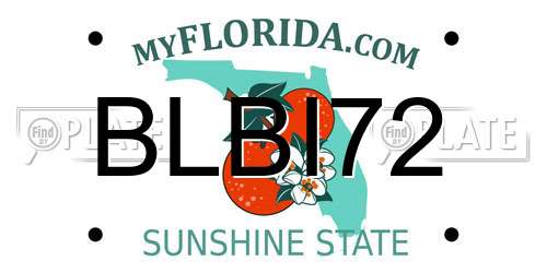 BLBI72 Florida License Plate