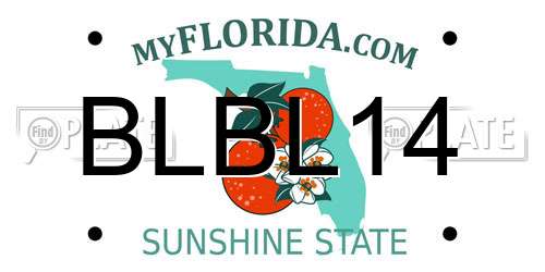 BLBL14 Florida License Plate