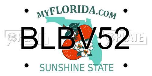 BLBV52 Florida License Plate