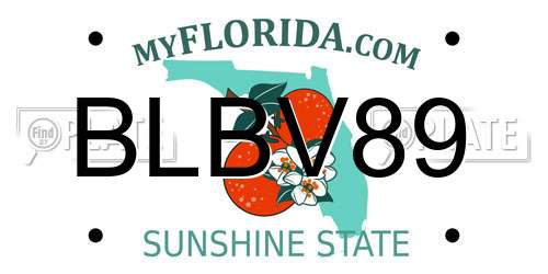 BLBV89 Florida License Plate
