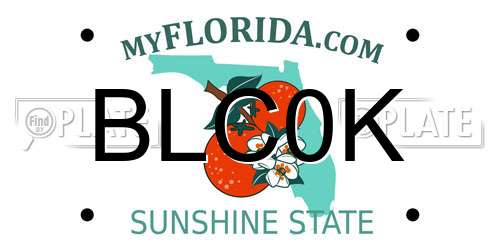 BLC0K Florida License Plate