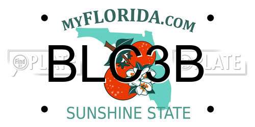 BLC3B Florida License Plate