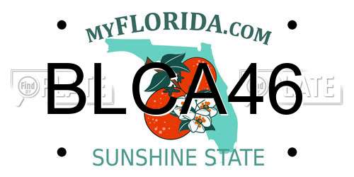 BLCA46 Florida License Plate