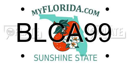 BLCA99 Florida License Plate