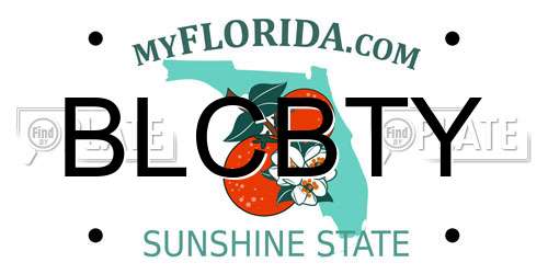 BLCBTY Florida License Plate