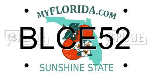 BLCE52 Florida License Plate