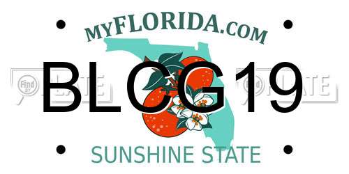 BLCG19 Florida License Plate