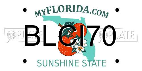 BLCI70 Florida License Plate