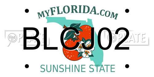 BLCJ02 Florida License Plate