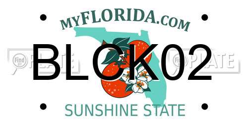 BLCK02 Florida License Plate
