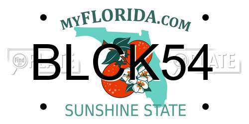 BLCK54 Florida License Plate
