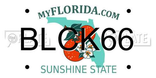 BLCK66 Florida License Plate