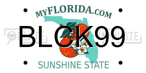 BLCK99 Florida License Plate
