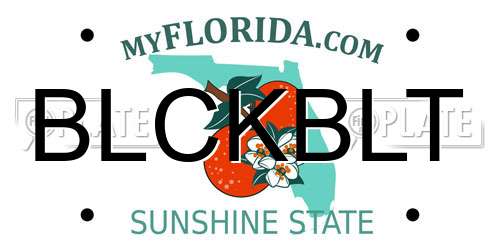 BLCKBLT Florida License Plate