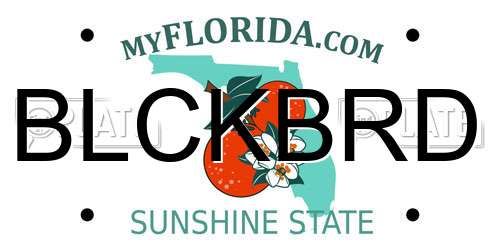 BLCKBRD Florida License Plate