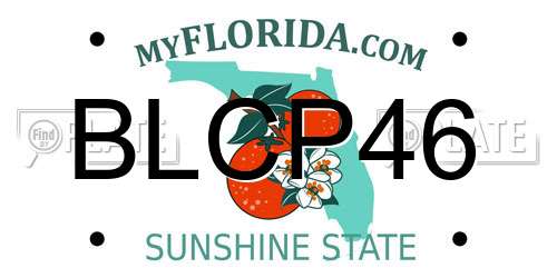 BLCP46 Florida License Plate