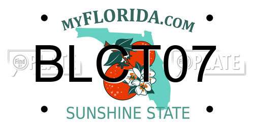 BLCT07 Florida License Plate