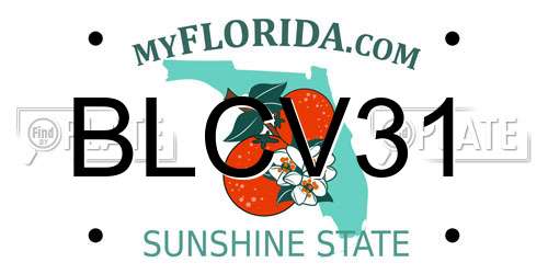 BLCV31 Florida License Plate