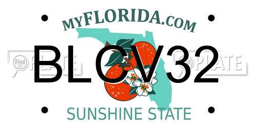 BLCV32 Florida License Plate