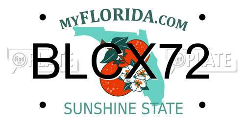 BLCX72 Florida License Plate