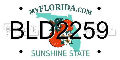 BLD2259 Florida License Plate