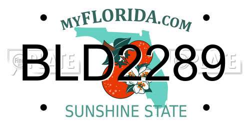 BLD2289 Florida License Plate
