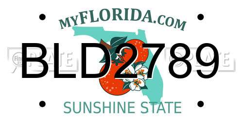 BLD2789 Florida License Plate