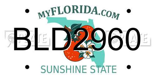 BLD2960 Florida License Plate