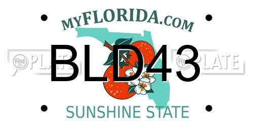 BLD43 Florida License Plate
