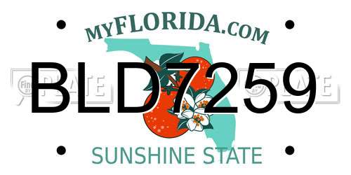 BLD7259 Florida License Plate