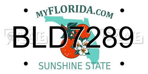 BLD7289 Florida License Plate