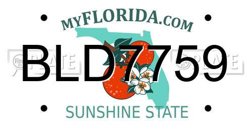 BLD7759 Florida License Plate