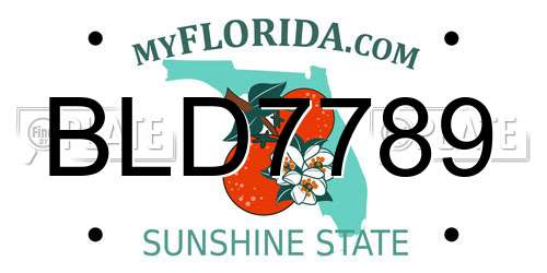BLD7789 Florida License Plate