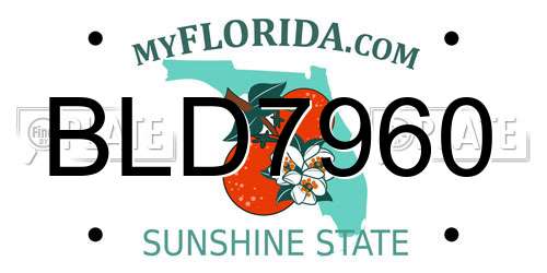 BLD7960 Florida License Plate