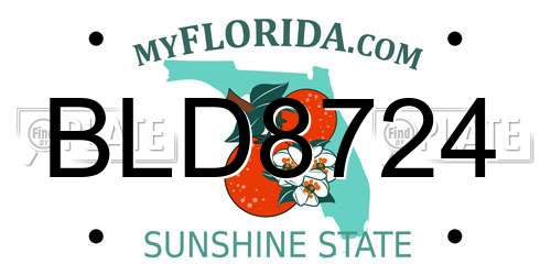 BLD8724 Florida License Plate