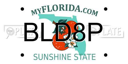 BLD8P Florida License Plate