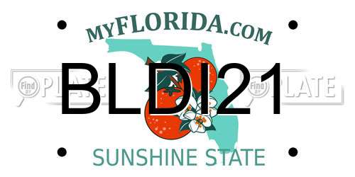 BLDI21 Florida License Plate