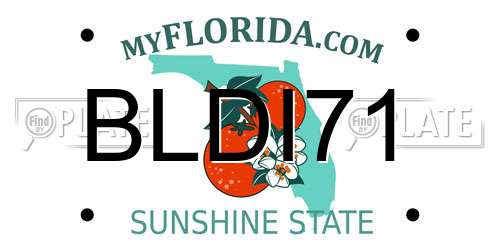 BLDI71 Florida License Plate