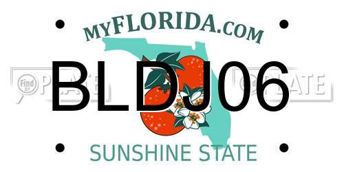 BLDJ06 Florida License Plate