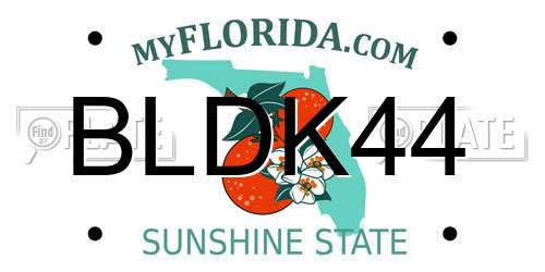 BLDK44 Florida License Plate