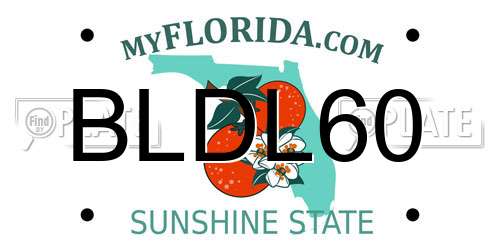 BLDL60 Florida License Plate