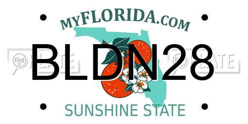 BLDN28 Florida License Plate