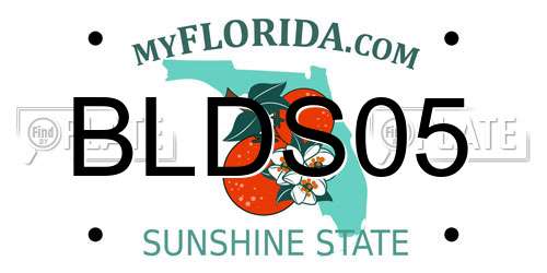 BLDS05 Florida License Plate